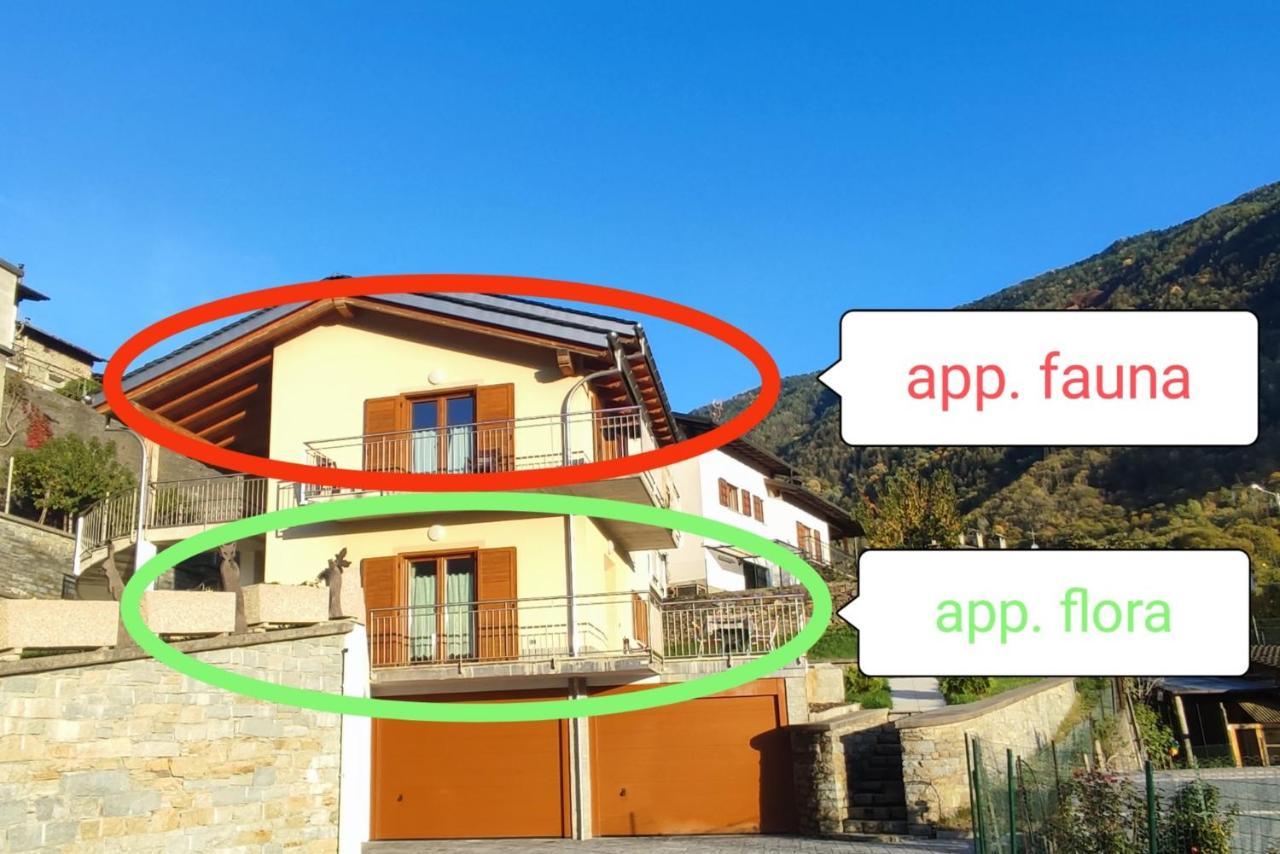 Pisolo Selvaggio Apartman Tirano Kültér fotó